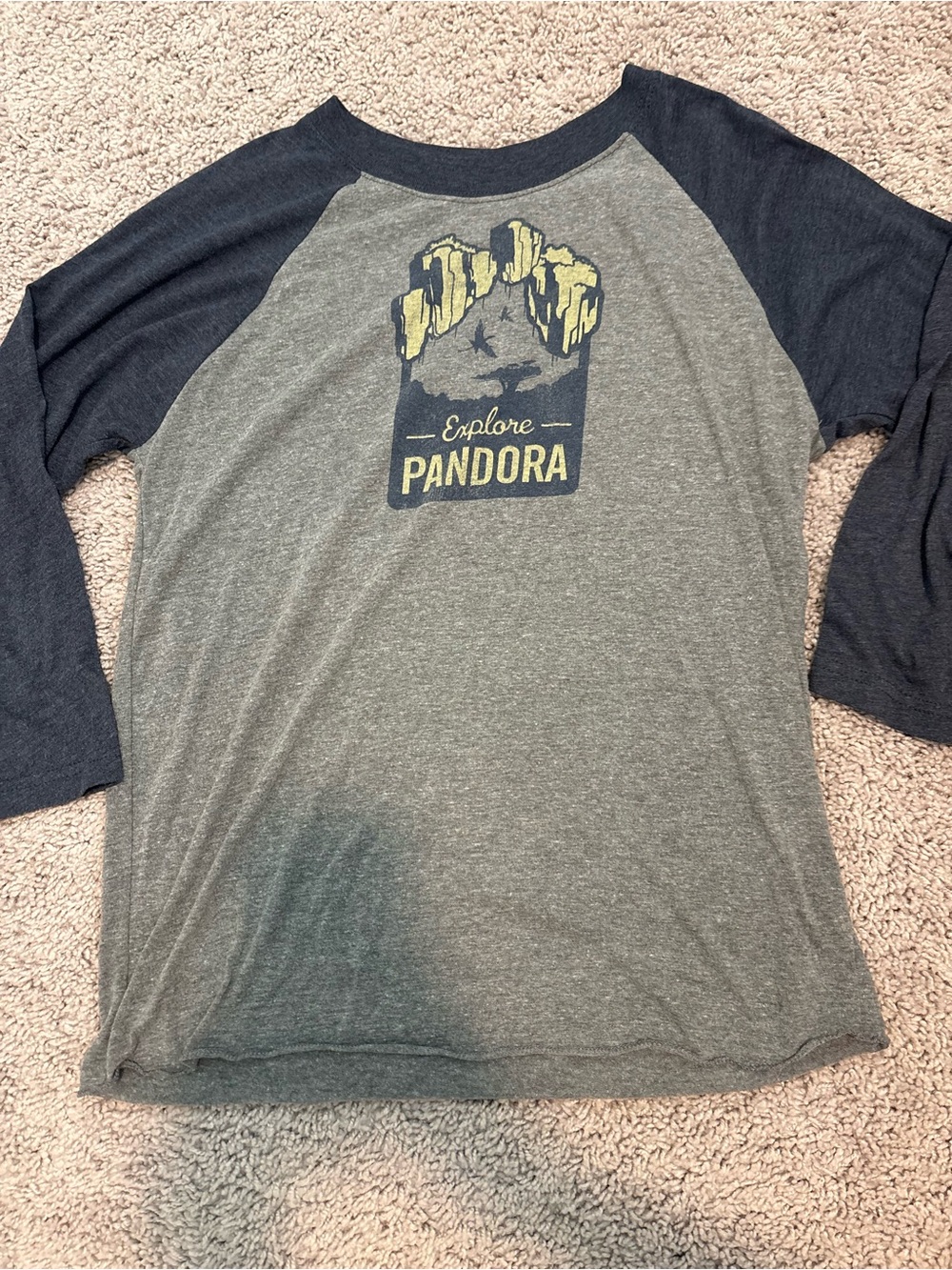 Disney Pandora Quarter Sleeve